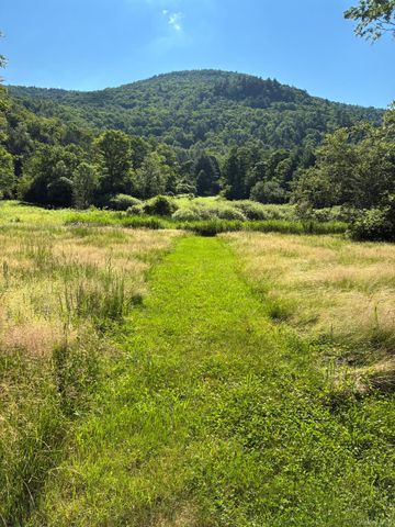 1140 Harvard Road, East Branch, NY 13756