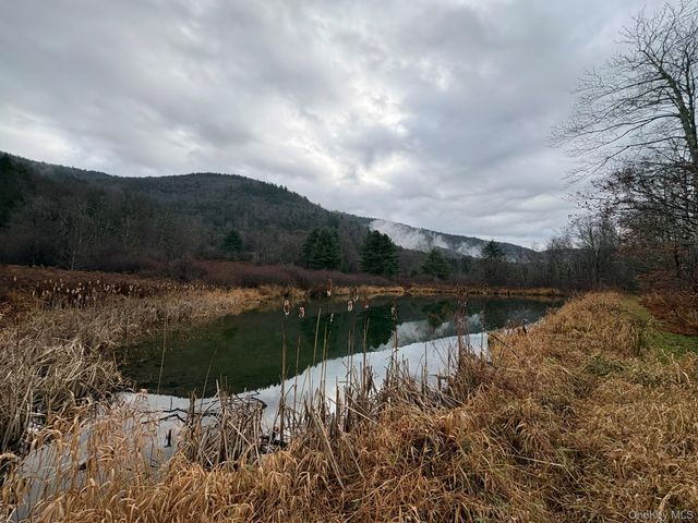 1140 Harvard Road, East Branch, NY 13756