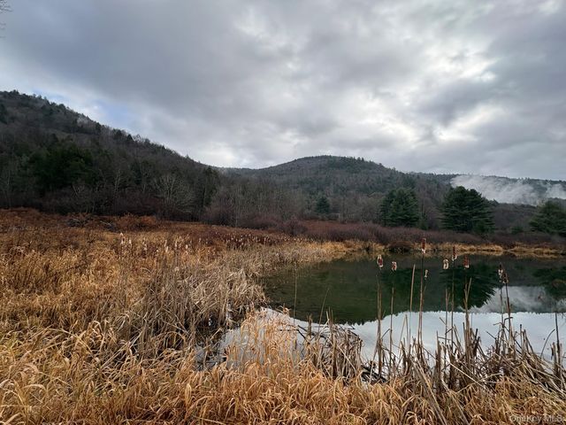 1140 Harvard Road, East Branch, NY 13756