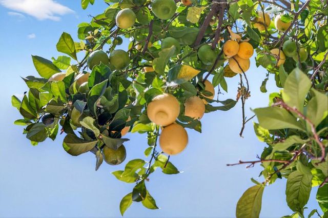 3220 Heritage Point Court, San Jose, CA 95148