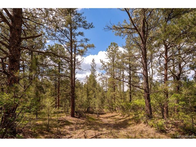 23490 Spirit Mountain Dr, Aguilar, CO 81020