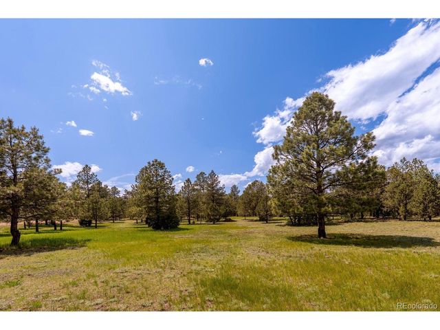 23490 Spirit Mountain Dr, Aguilar, CO 81020