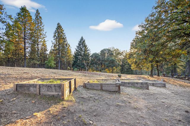 22080 Fiddletown Rd, Volcano, CA 95689