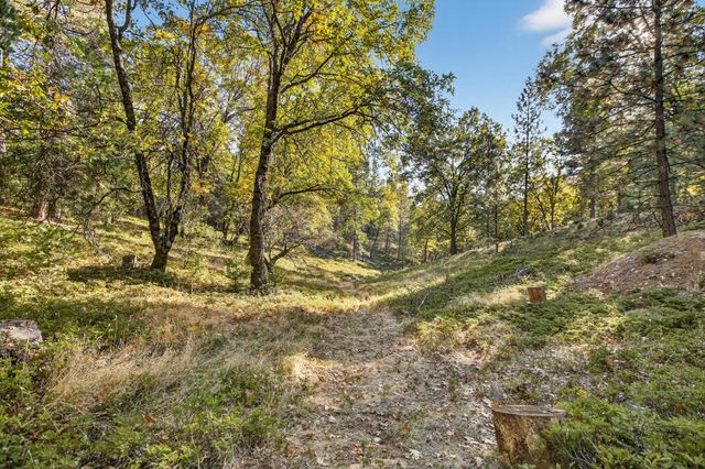 22080 Fiddletown Rd, Volcano, CA 95689