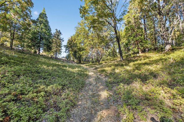 22080 Fiddletown Rd, Volcano, CA 95689