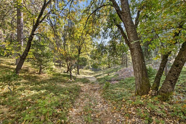 22080 Fiddletown Rd, Volcano, CA 95689