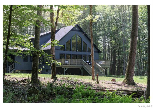 301 Reyer Road, Narrowsburg, NY 12764