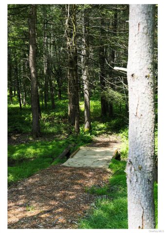 301 Reyer Road, Narrowsburg, NY 12764