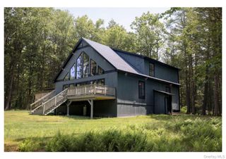 301 Reyer Road, Narrowsburg, NY 12764