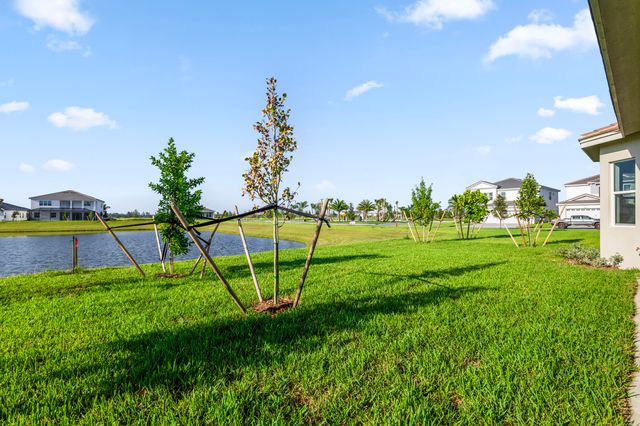 14208 Lacebark Lane, Westlake, FL 33470