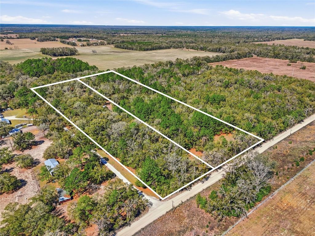 Image 6 of property listing at TBD SW FRY AVENUE A, Fort White, FL 32038