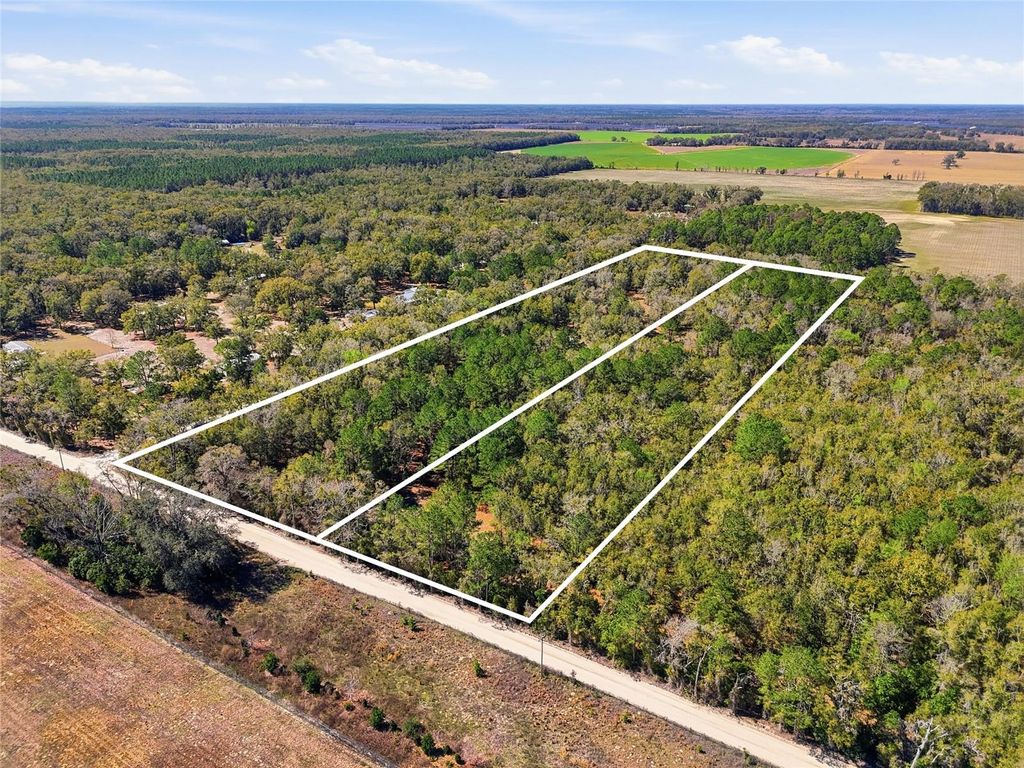 Image 7 of property listing at TBD SW FRY AVENUE A, Fort White, FL 32038