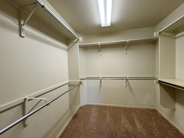 172 Spruce DR, Kyle, TX 78640