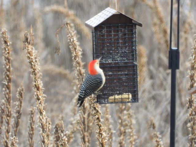 1331 County Road D, Oregon, WI 53575