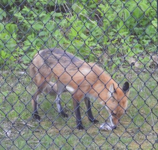 1331 County Road D, Oregon, WI 53575