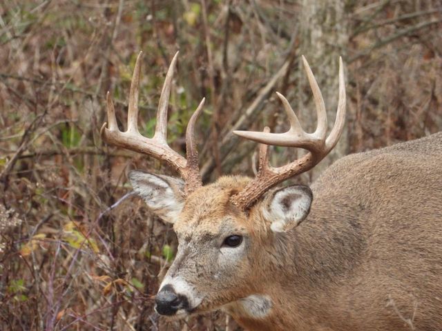 1331 County Road D, Oregon, WI 53575