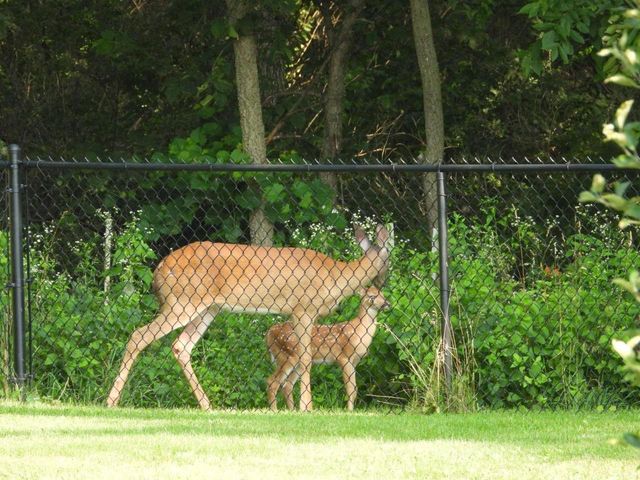 1331 County Road D, Oregon, WI 53575