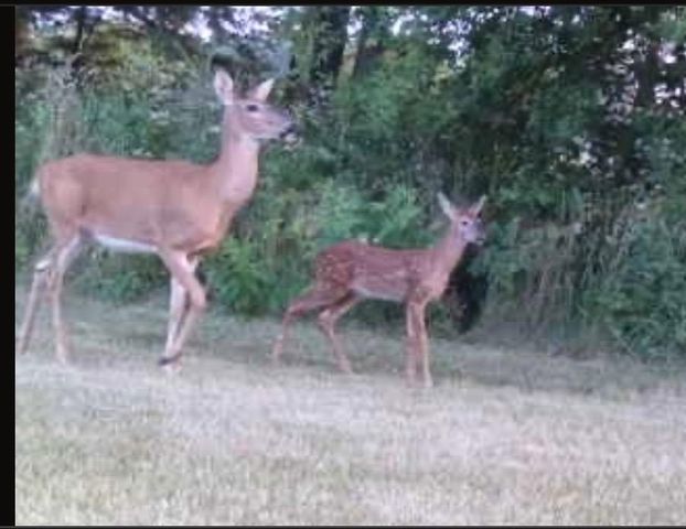 1331 County Road D, Oregon, WI 53575