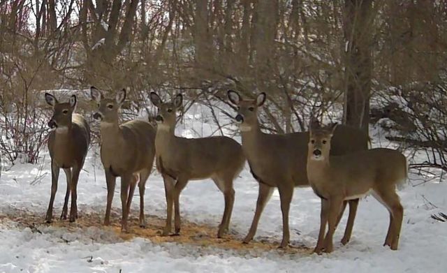 1331 County Road D, Oregon, WI 53575