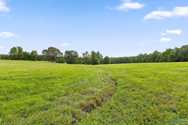 20.44 Acres County Road 126, Henagar, AL 35978