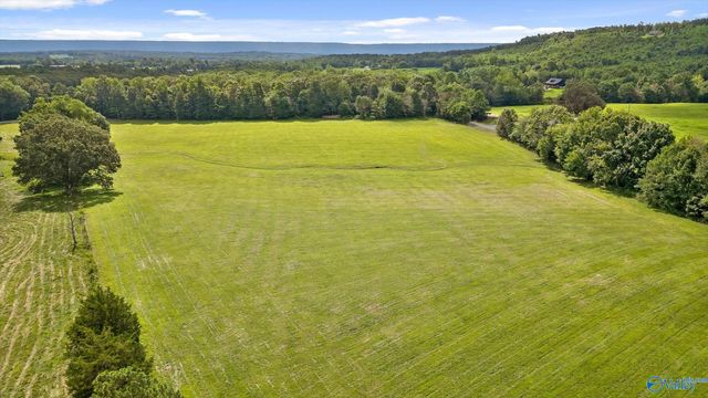 20.44 Acres County Road 126, Henagar, AL 35978