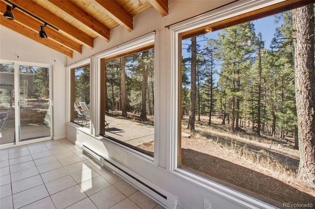 441 Paint Pony Lane, Florissant, CO 80816