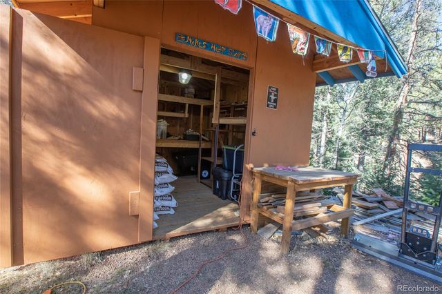 441 Paint Pony Lane, Florissant, CO 80816