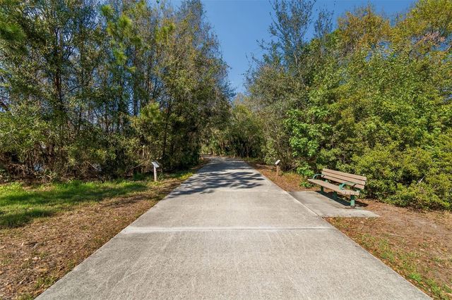 10687 LAKE MONTAUK DRIVE, Riverview, FL 33578