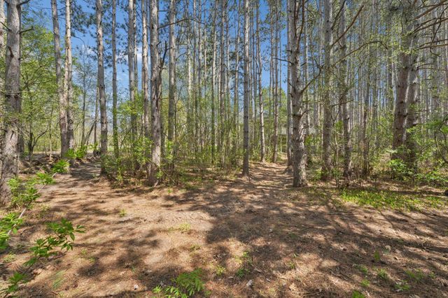4320 217th Avenue NE, Cedar, MN 55011