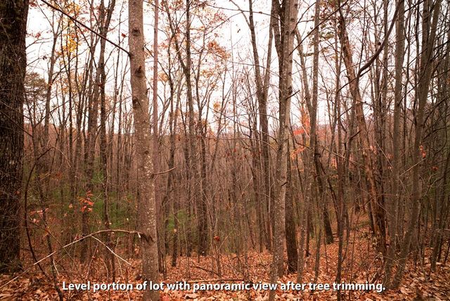 LOT 18 Dover Highlands Trail, Ellijay, GA 30540