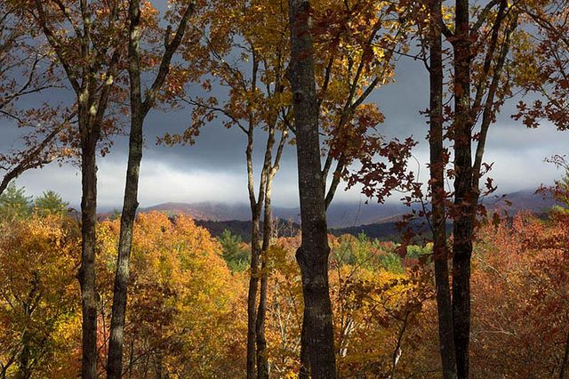 LOT 18 Dover Highlands Trail, Ellijay, GA 30540