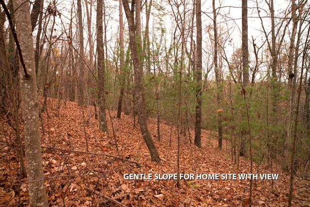 LOT 18 Dover Highlands Trail, Ellijay, GA 30540