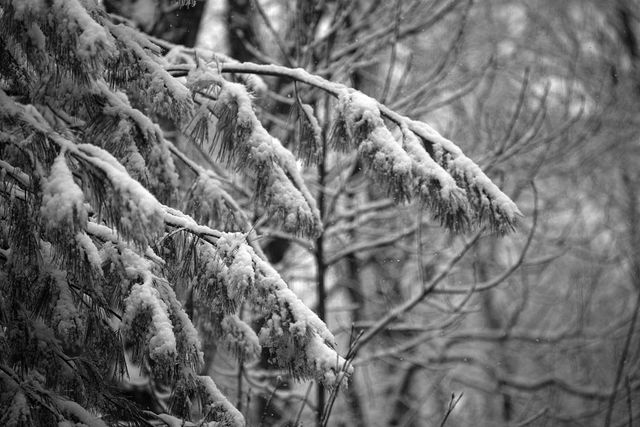 LOT 18 Dover Highlands Trail, Ellijay, GA 30540