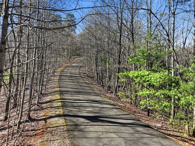 LOT 18 Dover Highlands Trail, Ellijay, GA 30540