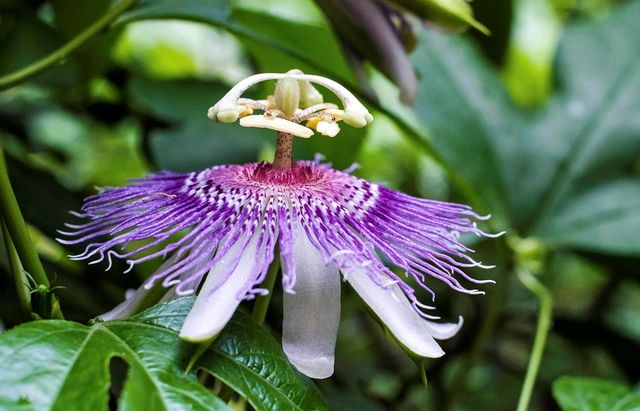 LOT 18 Dover Highlands Trail, Ellijay, GA 30540