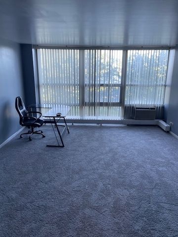 6730 S South Shore Drive 302, Chicago, IL 60649