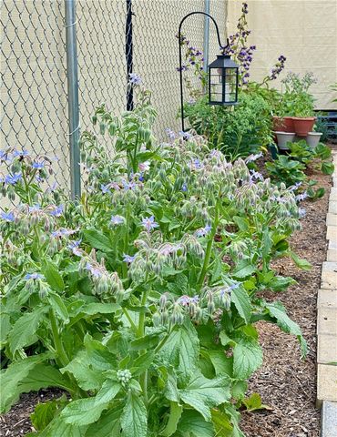 173 Hallock St, Jamestown, NY 14701