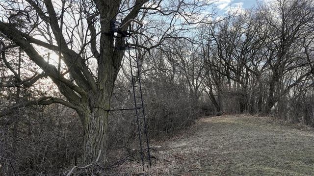 N30732 Square Bluff Road, Blair, WI 54616