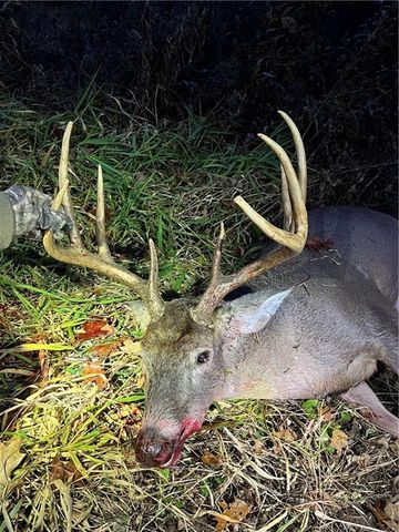 N30732 Square Bluff Road, Blair, WI 54616