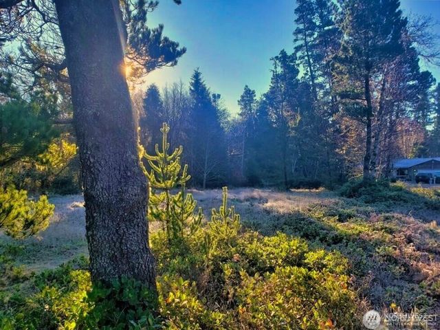 30510 O, Ocean Park, WA 98640