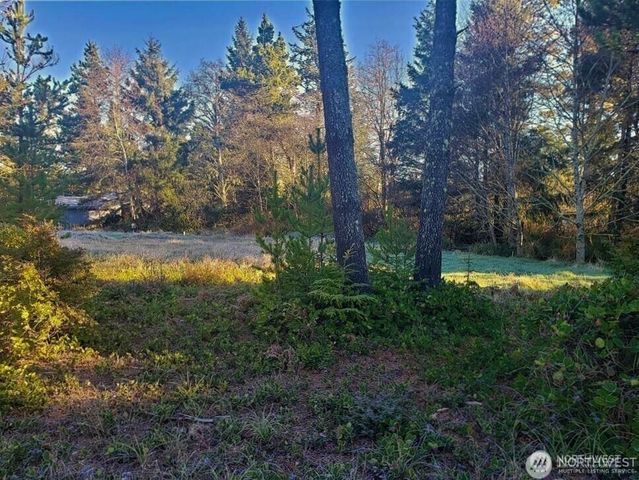 30510 O, Ocean Park, WA 98640