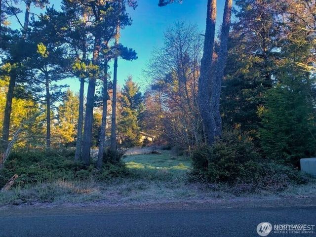 30510 O, Ocean Park, WA 98640