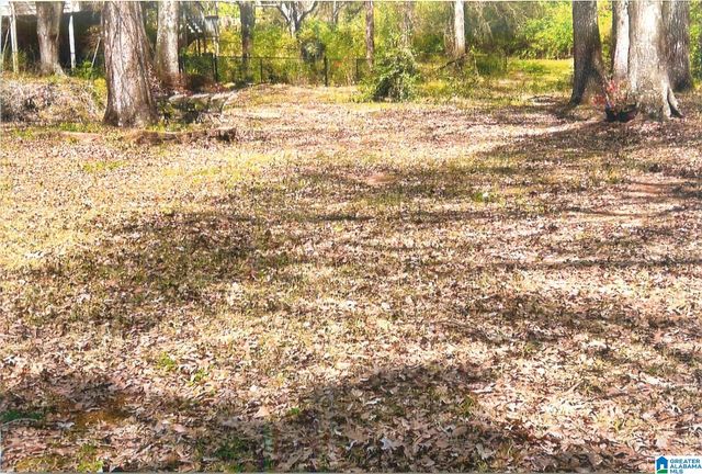 1673 PINE HARBOR ROAD, Pell City, AL 35128