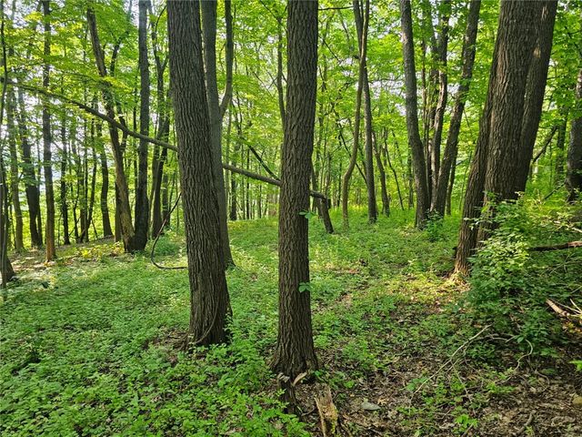 0 19th Avenue, White Twp, PA 15010