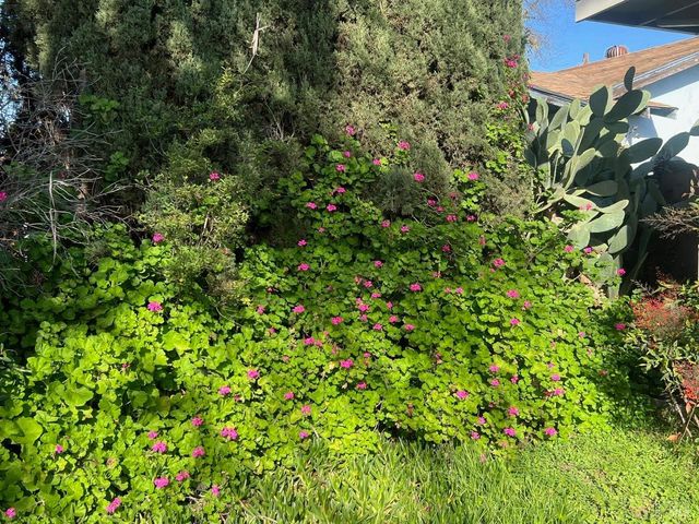 1850 San Juan St, Fairfield, CA 94533