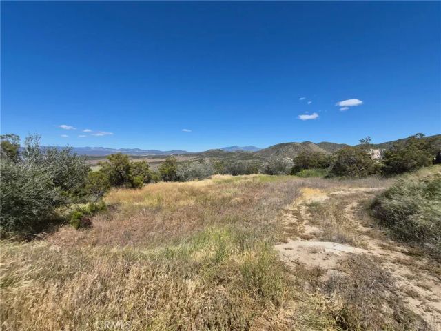 55355 Tule Peak, Anza, CA 92536