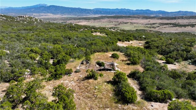 55355 Tule Peak, Anza, CA 92536