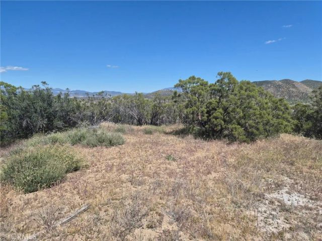 55355 Tule Peak, Anza, CA 92536