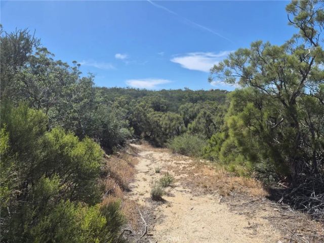 55355 Tule Peak, Anza, CA 92536
