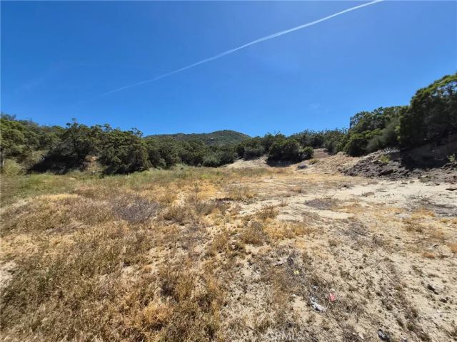 55355 Tule Peak, Anza, CA 92536